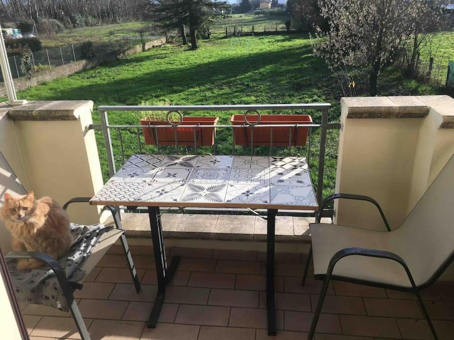Piccolo Borgo Apartment Lucca Exterior photo